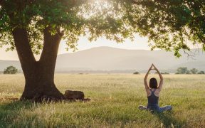 a white woman, doing a yoga pose, in a field next to a tree as the sun shines down
