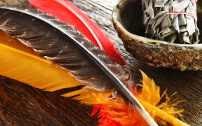 a photo of feathers on a table, next to a medicine bowl